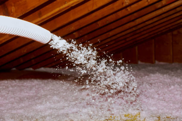 Insulation Inspection Services in Marengo, IL